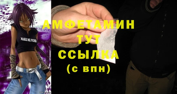 молекула духа Майский