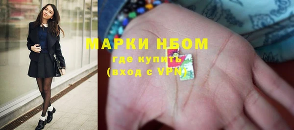 PSILOCYBIN Магас