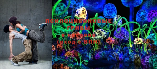PSILOCYBIN Магас