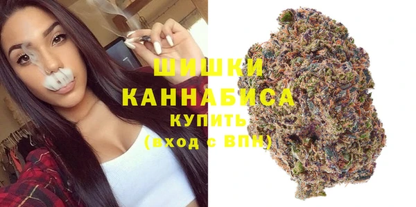 PSILOCYBIN Магас