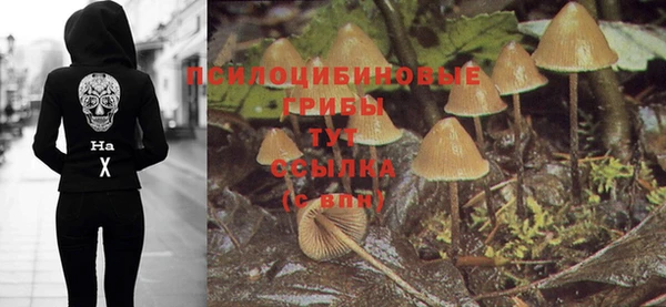 молекула духа Майский