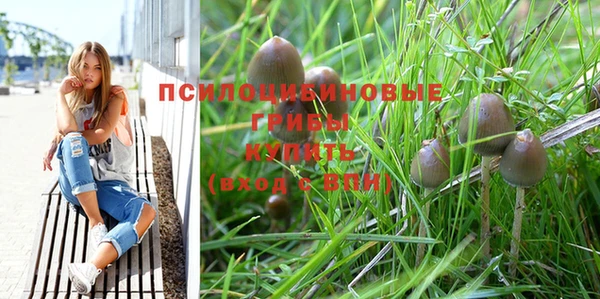 молекула духа Майский